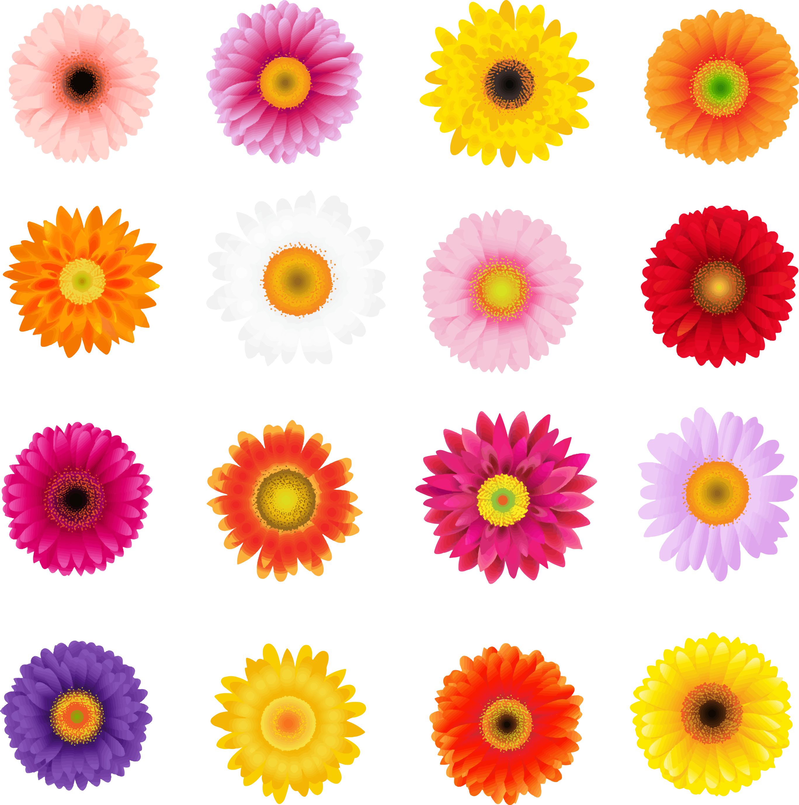 Fiets sticker gerbera bloemen - TenStickers