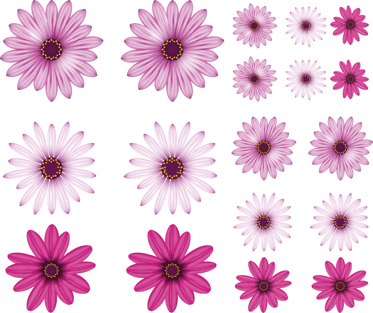 Gerbera spatboord fiets sticker - TenStickers