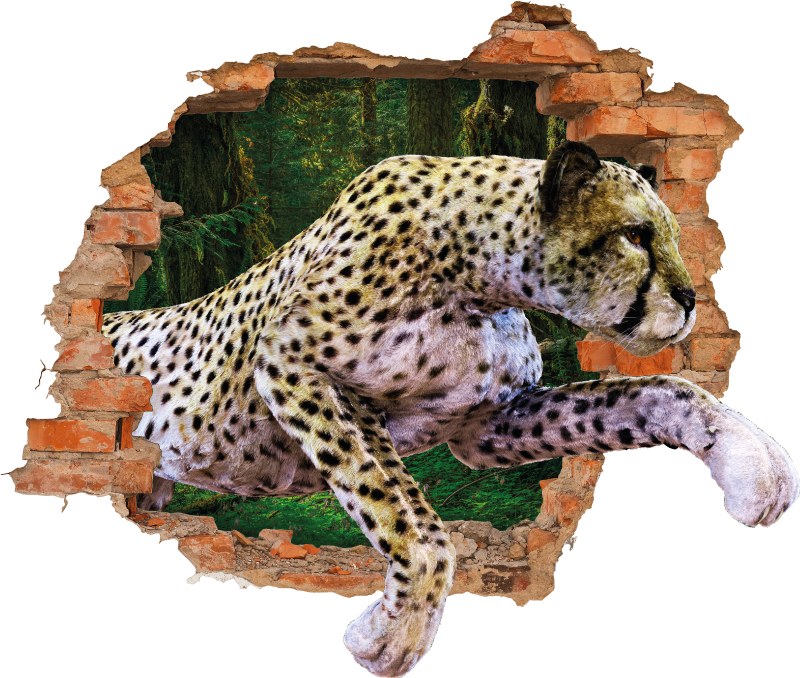 Muursticker 3d cheetah uit de muur - TenStickers