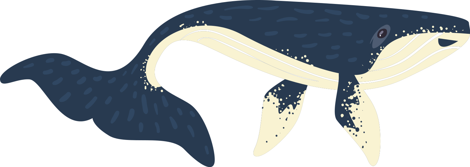 Beluga Whale animal wall decal TenStickers