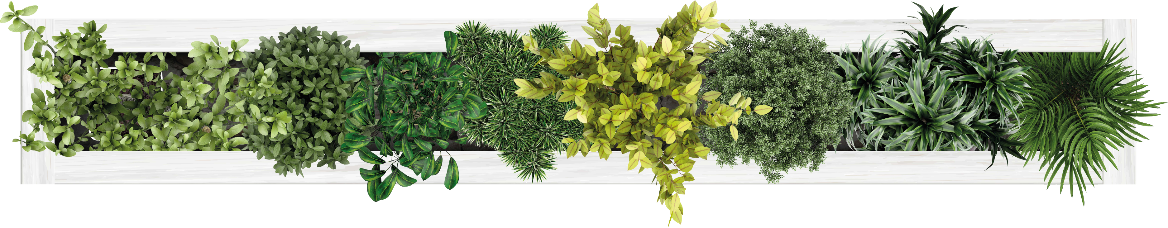 Frise autocollante de jardin verticale - TenStickers