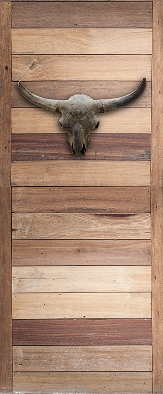 Buffalo skull wild animal door sticker - TenStickers