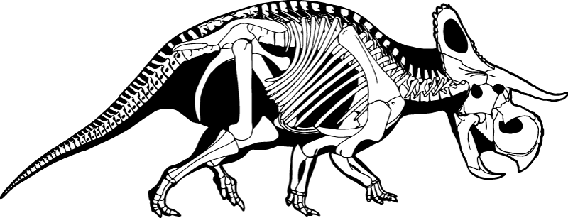 triceratop skeleton clipart