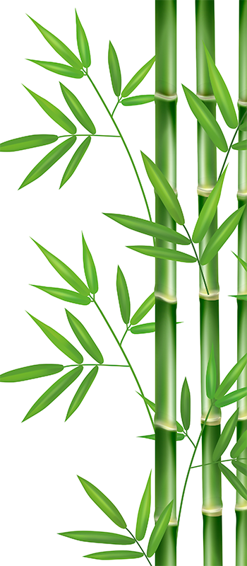 Adesivo decorativo per porta con bambù - TenStickers