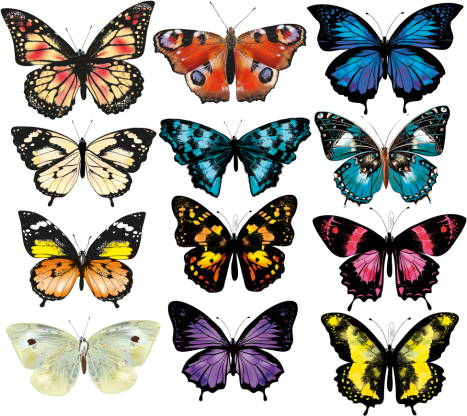 butterfly with bright colors flying sticker - TenStickers