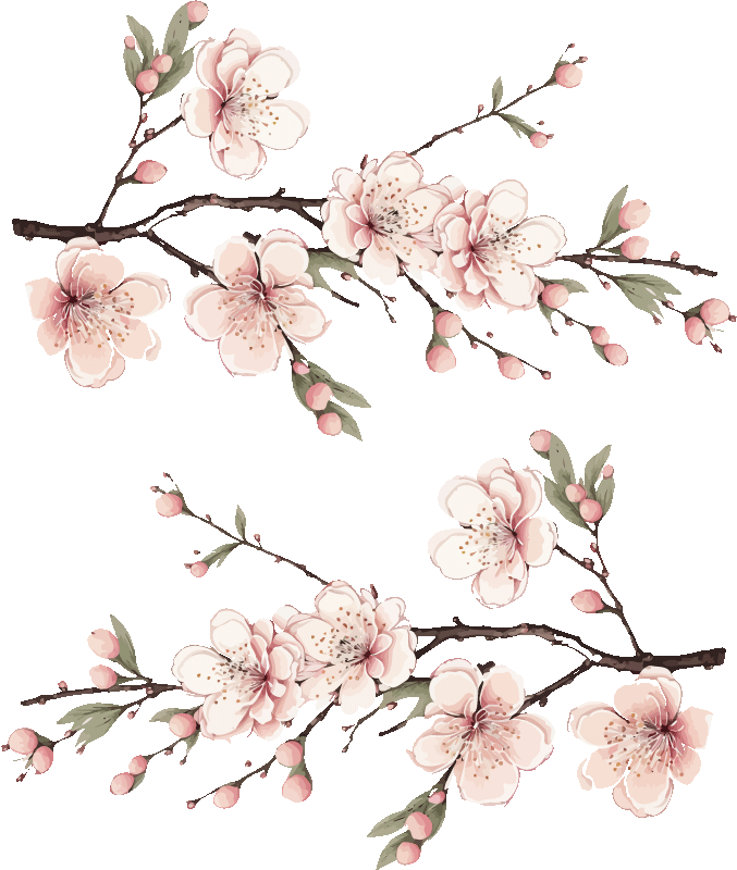 Blumen Wandtattoo mit Kirschblüte - TenStickers