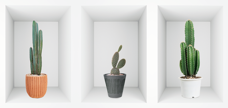 Stickers 3D plantes d'intérieur et cactus – Stickers STICKERS 3D Effets 3D  - Ambiance-sticker