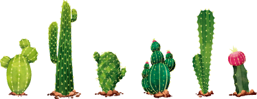 different cactus plant wall sticker - TenStickers