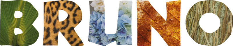 贴纸 个性贴纸 丛林纹理字母 - TenStickers