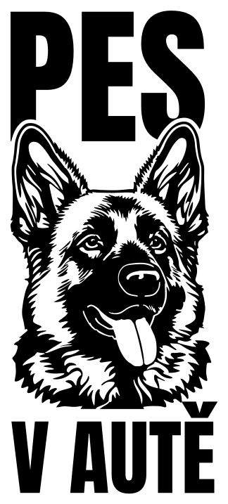 Pes v autě samolepka na auto - TenStickers