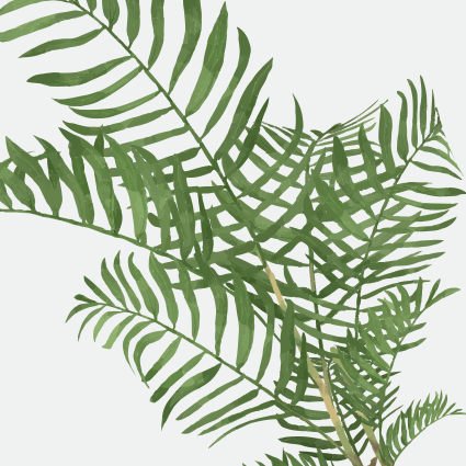 Azulejos adhesivo plantas - TenVinilo