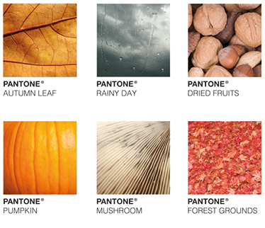 Autumn Pantone - TenStickers