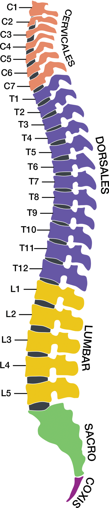 Vinilo decorativo zonas columna - TenVinilo