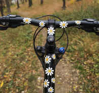 skranke røre ved oversættelse Tusindfryd cykel blomster cykel mærkat - TenStickers