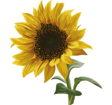 Beau t-shirt tournesol - TenStickers