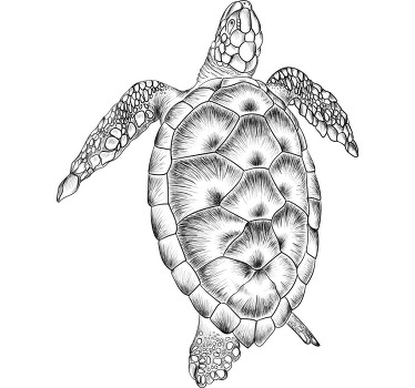 T-shirt tortue dessinée à la main - TenStickers