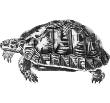 Vintage turtle illustration t-shirt - TenStickers