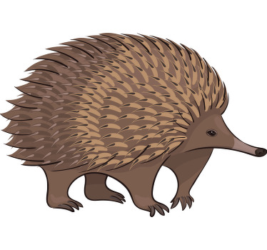 Porcupine and dots t-shirt - TenStickers