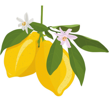 Limon meyve ağacı sevimli t-shirt - TenStickers