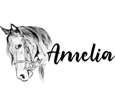 Horse personalised Kids t-shirt - TenStickers