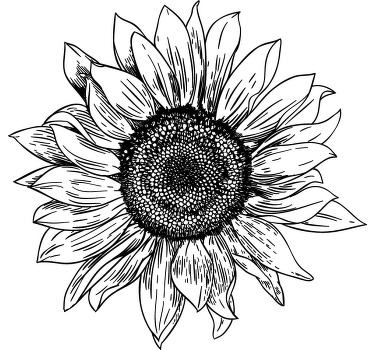 t-shirt personalizada de girassol preto - TenStickers