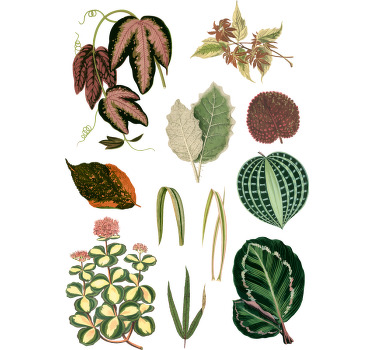 Kırmızı marante yaprakları özel tişört - TenStickers