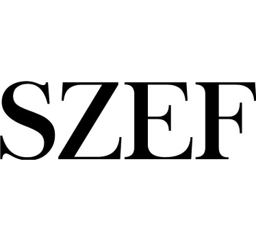 Koszulka dla taty i syna Szef i mini szef - TenStickers