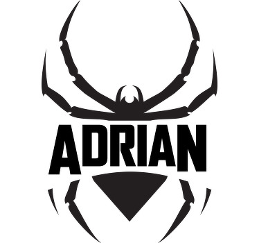 Tee shirt enfant Silhouette d'araignée avec nom - TenStickers