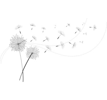 Camiseta personalizada flor de diente de león - TenVinilo