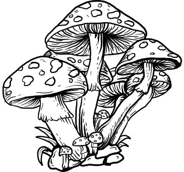 T-shirt personalizada de cogumelos com ilustrações desenhadas à m - TenStickers