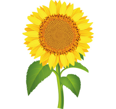 Camiseta madre e hija Hermoso girasol con tallo - TenVinilo