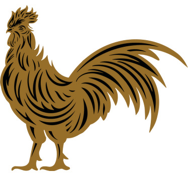 Camiseta personalizada pollo ilustración dorada - TenVinilo