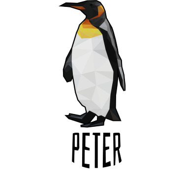 Geometrický pár triček tučňáků se jménem - TenStickers