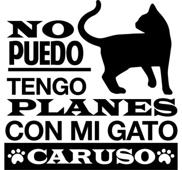 Camisetas con nombre Tengo planes con mi gato en español - TenVinilo