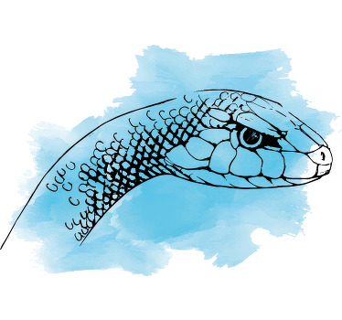 Mavi tonlarında kara yılan özel tişört - TenStickers