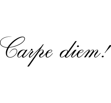 Carpe diem T-Shirt mit zartem, dünnem schriftzug - TenStickers