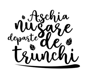 Tricou tata si fiu aschia nu sare departe - TenStickers