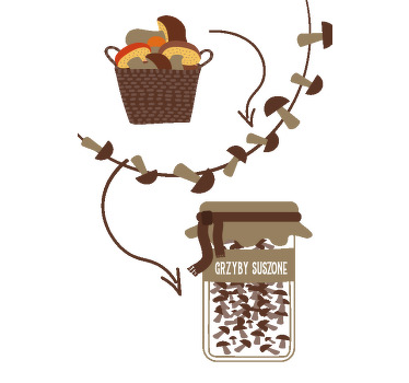 Koszulka Suszone grzyby - TenStickers