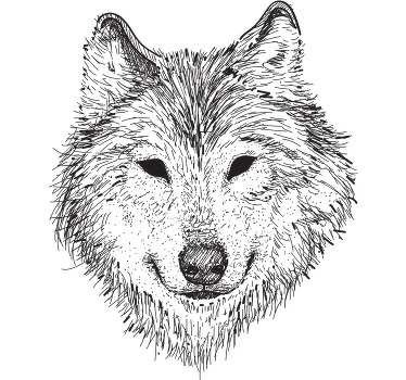 Koszulka Wilk europejski - TenStickers
