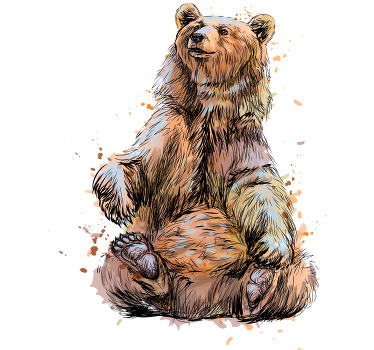 Koszulka Brązowy niedźwiedź - TenStickers