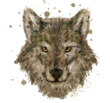 t-shirt personalizada lobo ibérico - TenStickers