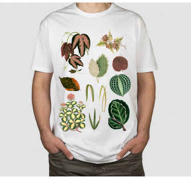 Kırmızı marante yaprakları özel tişört - TenStickers