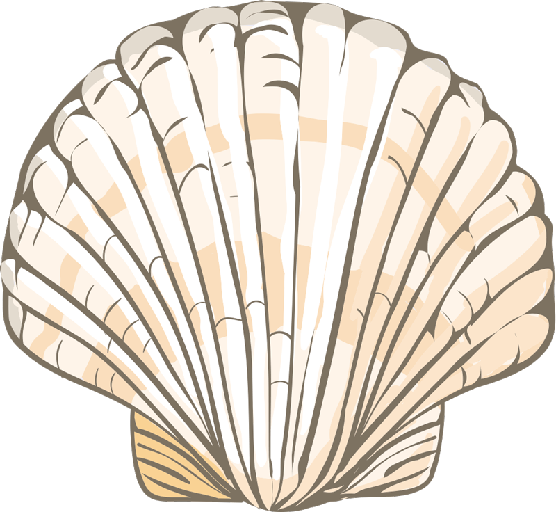 Beige muslingeskal brugerdefineret t-shirt - TenStickers