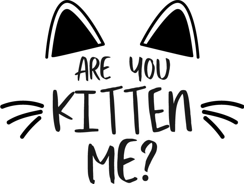 Are your kitten me custom t-shirt - TenStickers