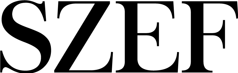 Koszulka dla taty i syna Szef i mini szef - TenStickers