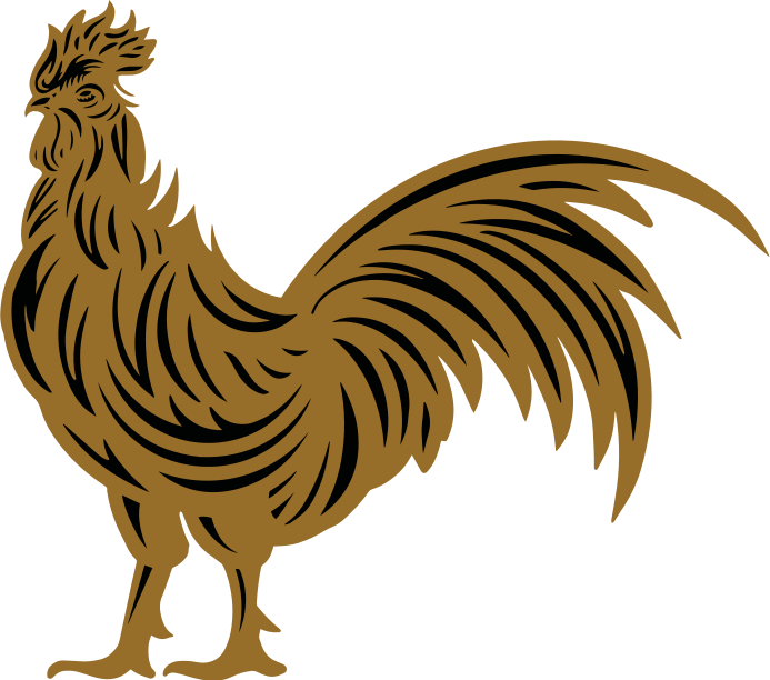 Camiseta personalizada pollo ilustración dorada - TenVinilo