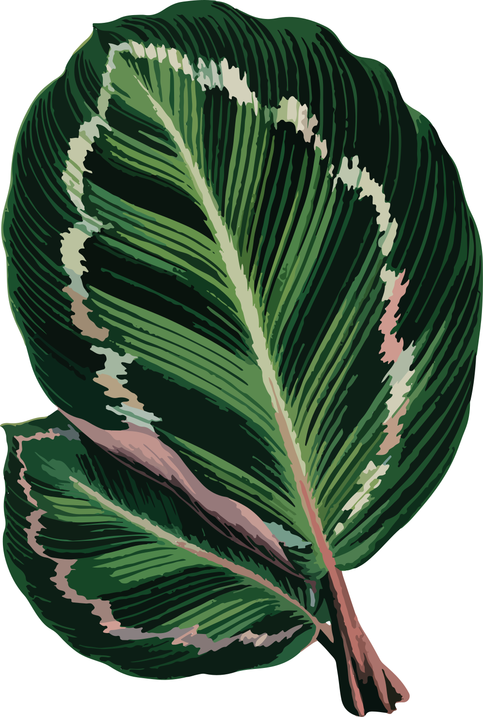 Leafy Nature Inspiration t-shirt - TenStickers