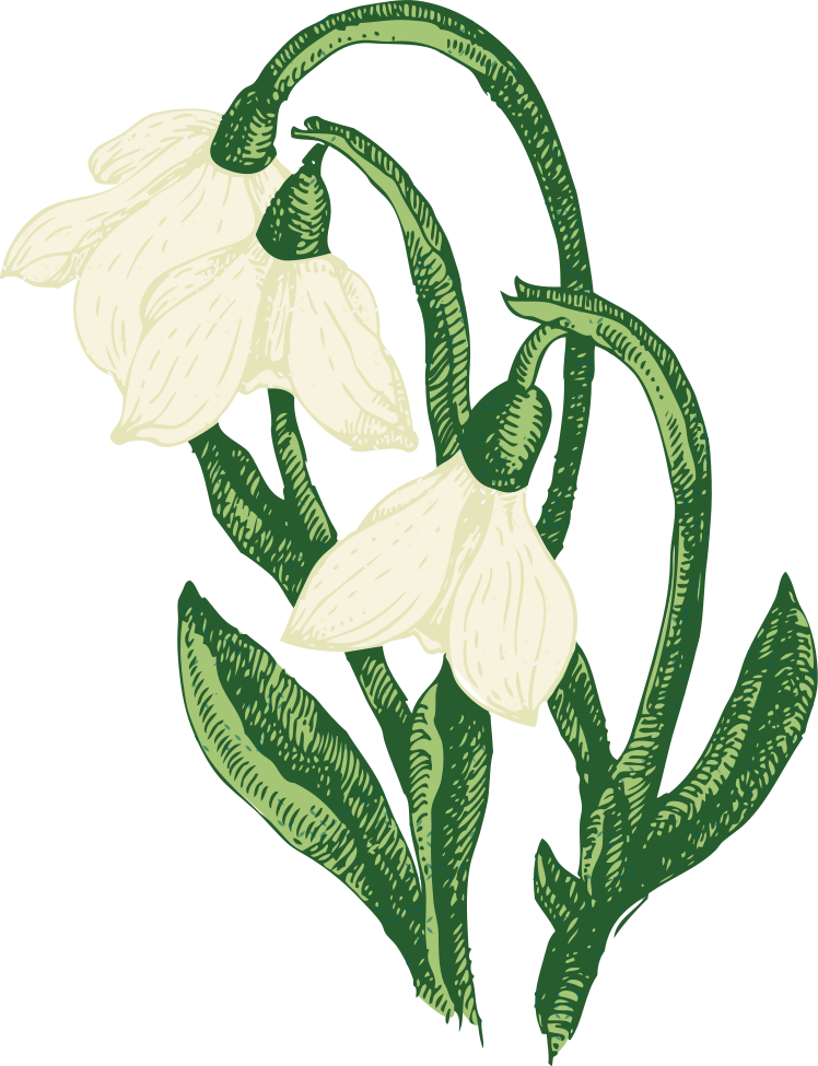 White spring flower t-shirt - TenStickers