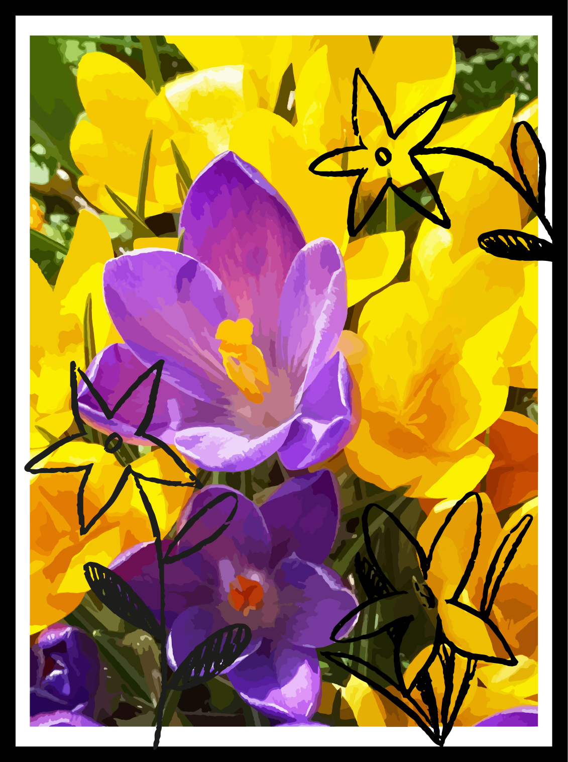 Vild lila och gul krokus anpassad t-shirt - Tenstickers