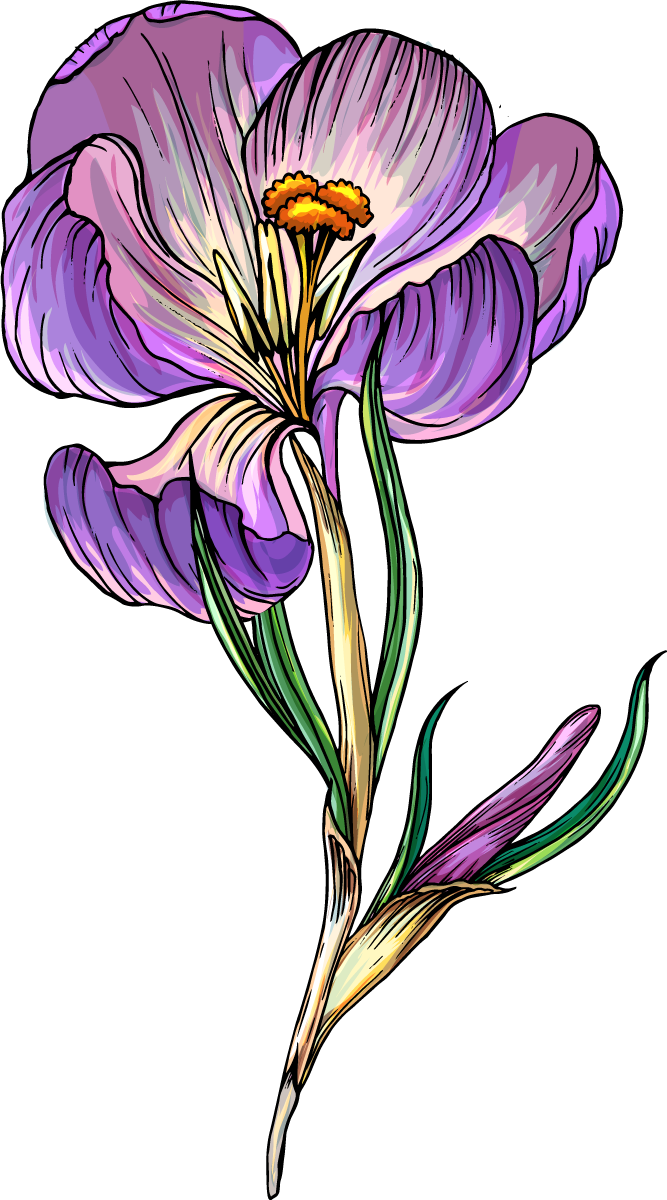 Sød tegning blå krokus custom t-shirt - TenStickers